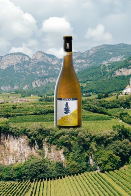 Вино мая в JOIA Wine Store