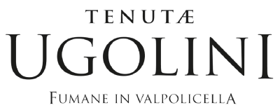 Ugolini