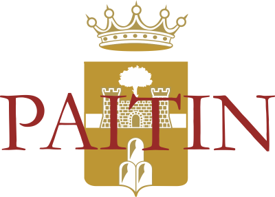 Paitin